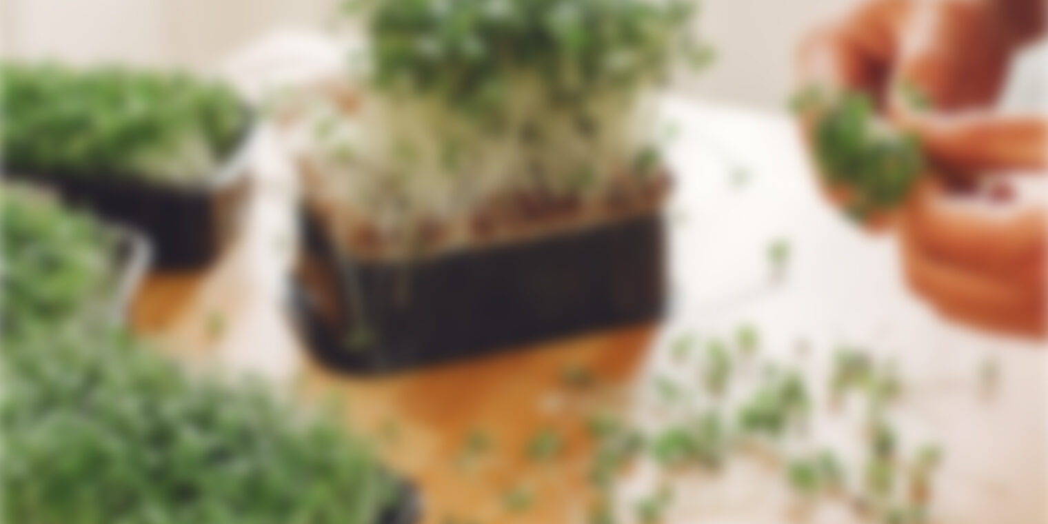 post-06-1 post-06-1