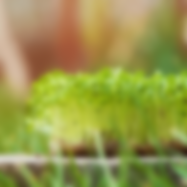Rectangle-1042-2.png Rectangle-1042-2.png